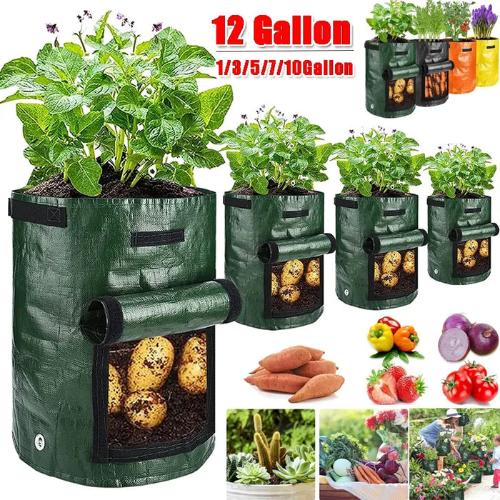 Potato Vegetable Planter Growing Bag