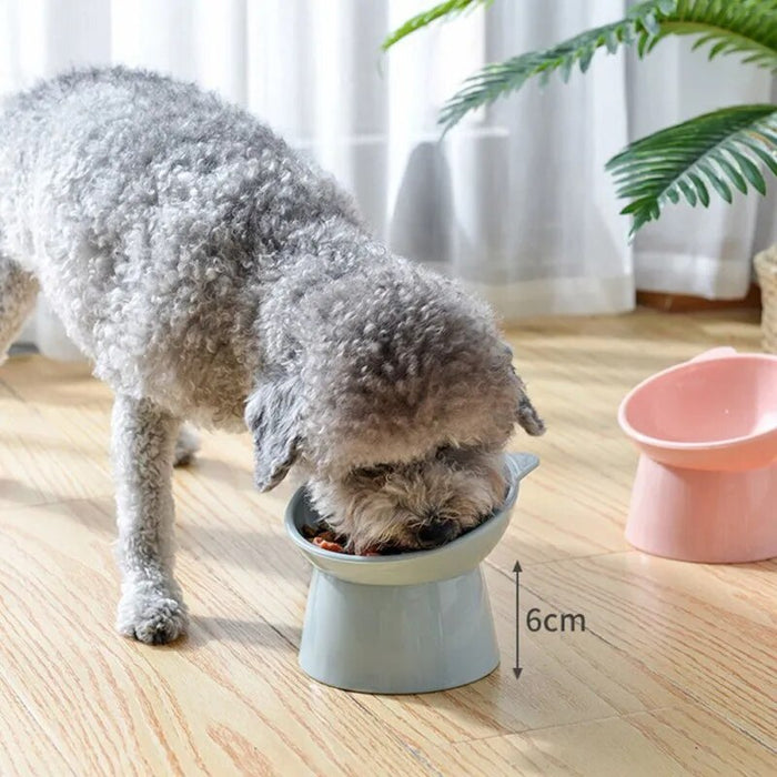 High Foot Dog Feeding Bowl